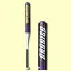 New Worth FPPCX Prodigy Alloy Fastpitch Softball Bat